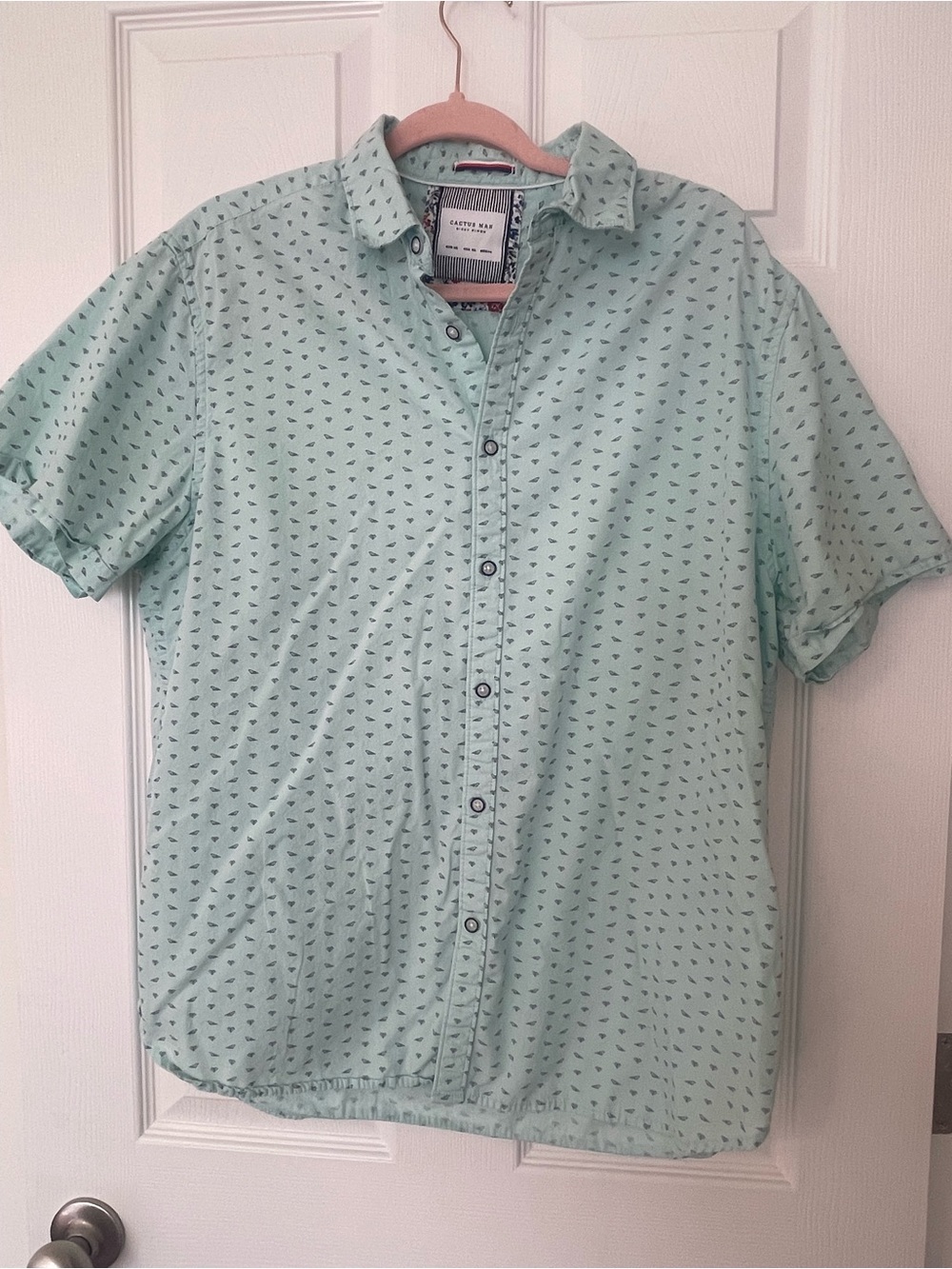 Cactus Mint Green Short Sleeve Button-Down with Micro Print